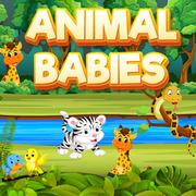 Bebês Animais jogos 360