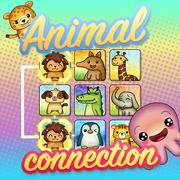 Conexão Animal jogos 360