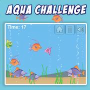 Aqua Herausforderung