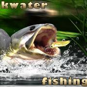 Backwater-Fischerei
