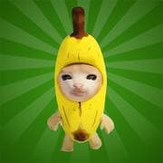 Bananenkatzen-Flucht
