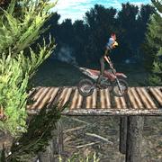 Fahrrad-Trial Xtreme Wald