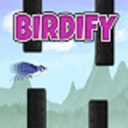 Birdify jogos 360