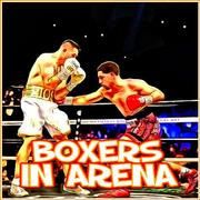 Boxer In Der Arena