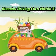 Bunnies ड्राइविंग कारों मैच 3