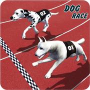 Verrückt Hund Rennfieber : Hund Rennen Spiel 3D