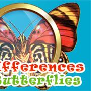 Unterschiede Schmetterlinge