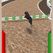 Simulador De Corrida De Cães jogos 360