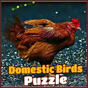 Uccelli Domestici Puzzle