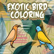 Coloriage D’Oiseaux Exotiques