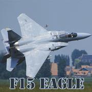 F15 Glissade Aigle