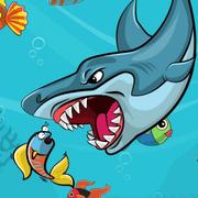 Tubarão Gordo jogos 360