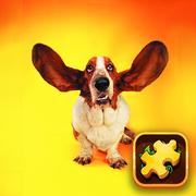 Quebra-Cabeça Cães Engraçados jogos 360