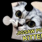 Chatons Puzzle Puzzle