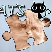 Puzzle: Gatti