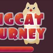 Longcat Journey