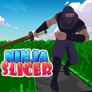 Fatiador Ninja jogos 360