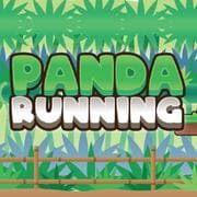 Panda Running