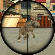 खरगोश शूटर