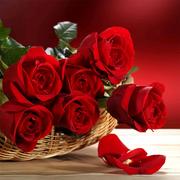 Красные Розы Головоломки