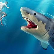 Caça De Tubarões jogos 360