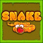 Snake Game