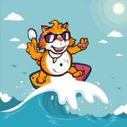 Surfer-Katze