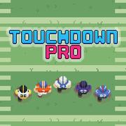 Touchdown-Profi