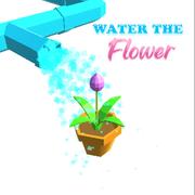 Wassern Die Blume