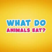 जानवर क्या खाते हैं