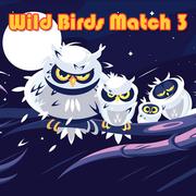 जंगली पक्षियों मैच 3